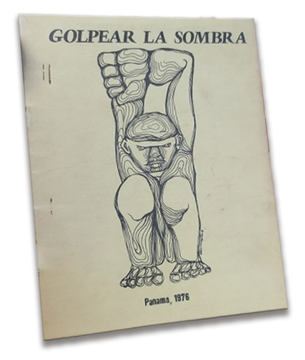 Portada de: Golpear la sombra