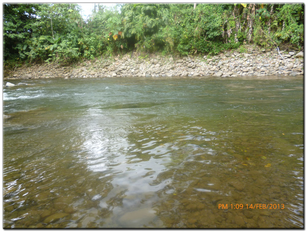 Francisco Palacios Coronel- R&iacute;o R&oacute;balo, Bocas del Toro - 2013