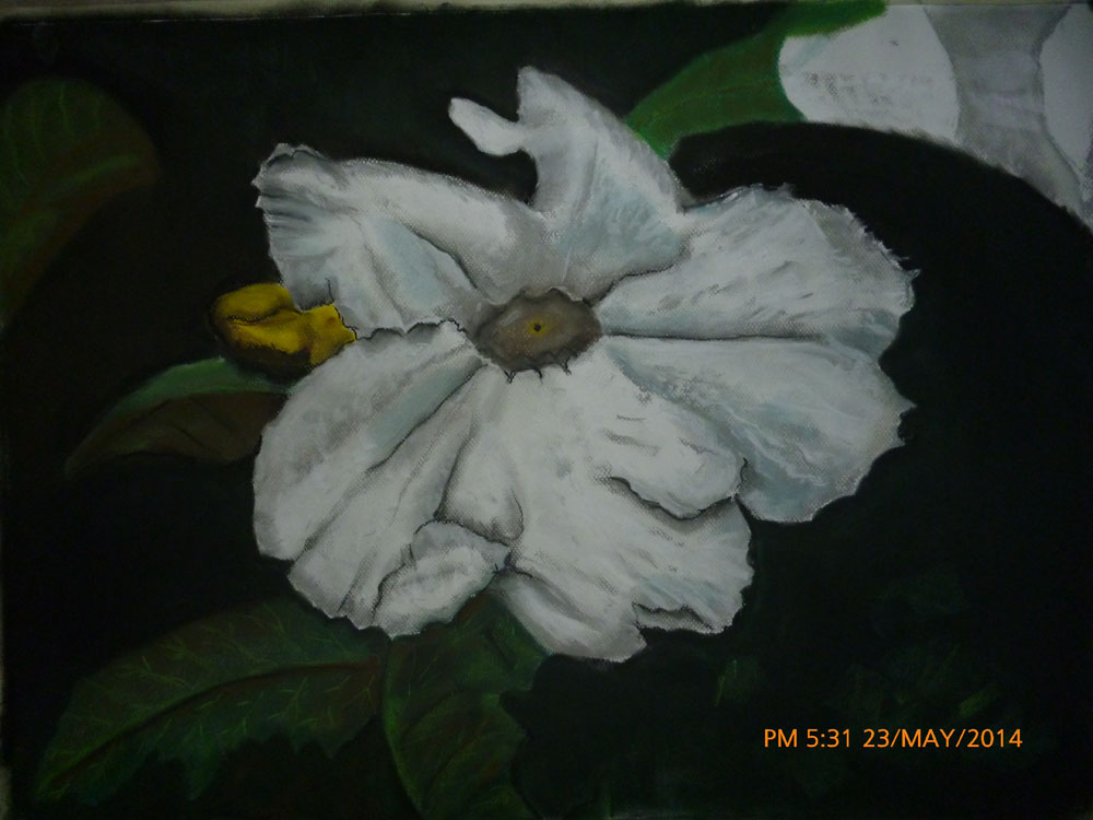 Francisco Palacios Coronel- Flor, Pastel - 2014