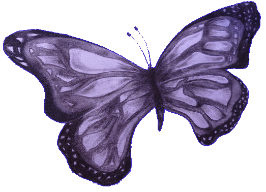 Korin Palacios - Mariposa - Oct. 2013